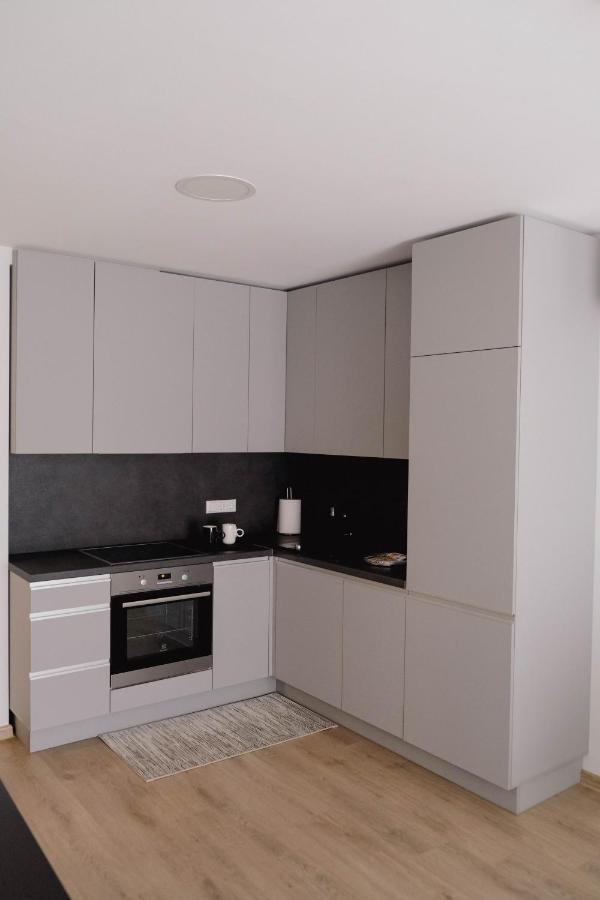 Cosy 1 Bedroom Apartment In The Heart Of Old Town With Parking Каунас Екстериор снимка